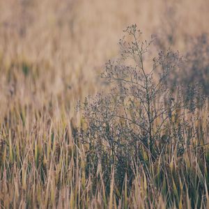 UMEMARO3D最新更新内容列表
